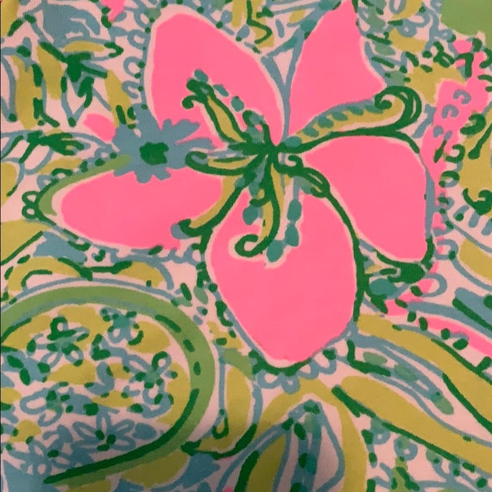 Lily Pulitzer Dress NWOT - Picture 2 of 3